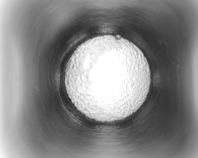 X0000103970722200810031224