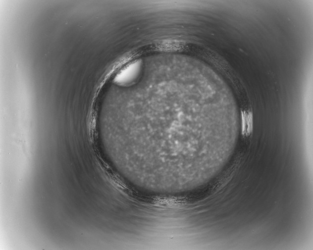 X0000103970723200810031224