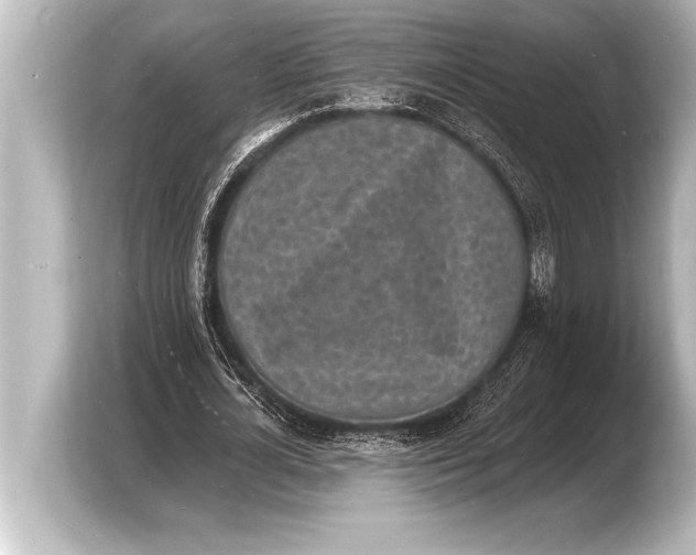 X0000103970724200810031224