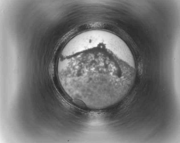 X0000103970725200810031224