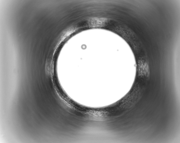 X0000103970726200810031224