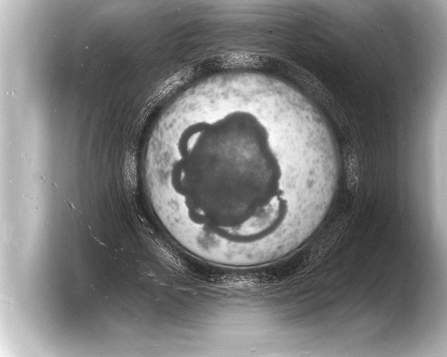 X0000103970729200810031224