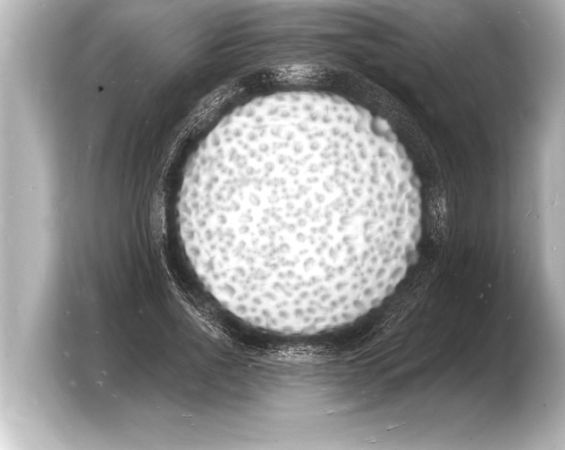 X0000103970734200810031224