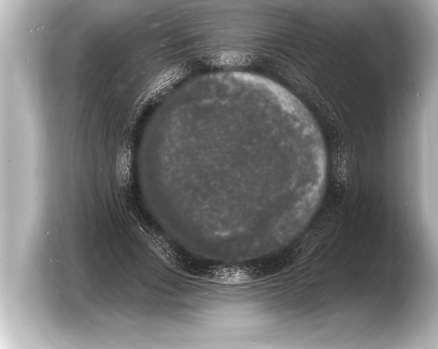 X0000103970735200810031224