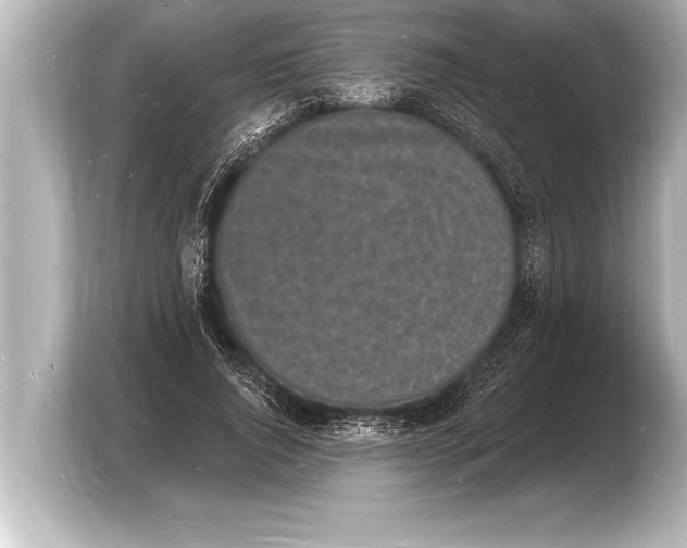 X0000103970736200810031224