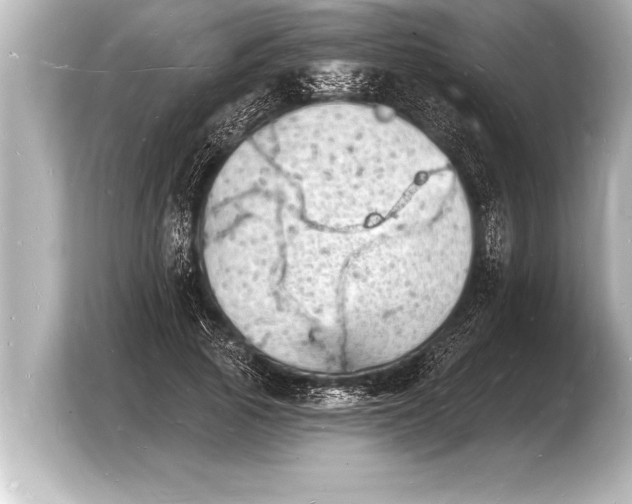 X0000103970737200810031224