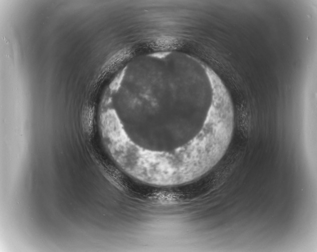 X0000103970742200810031224