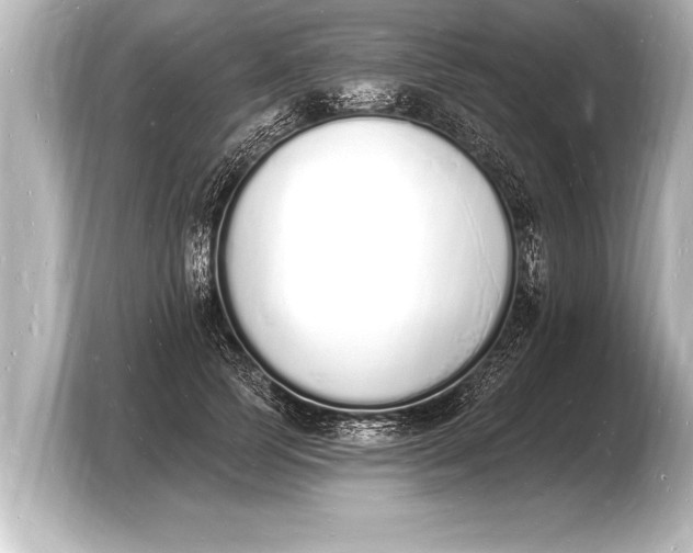 X0000103970745200810031224