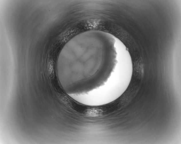 X0000103970754200810031224