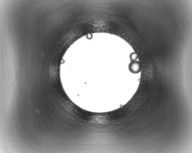 X0000103970756200810031224