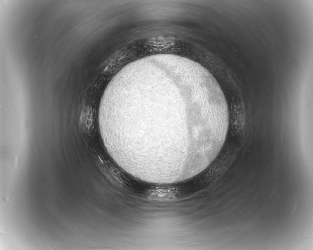 X0000103970758200810031224