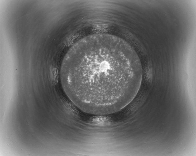 X0000103970759200810031224