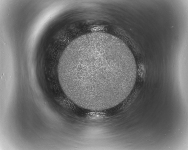 X0000103970763200810031224