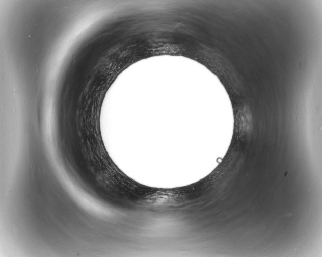 X0000103970764200810031224