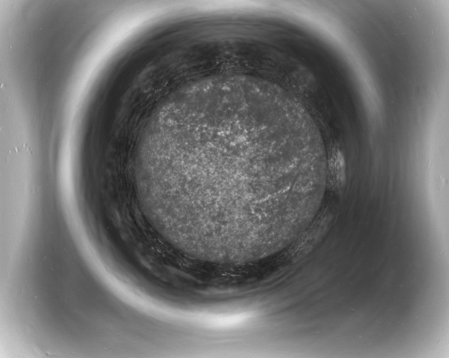 X0000103970765200810031224