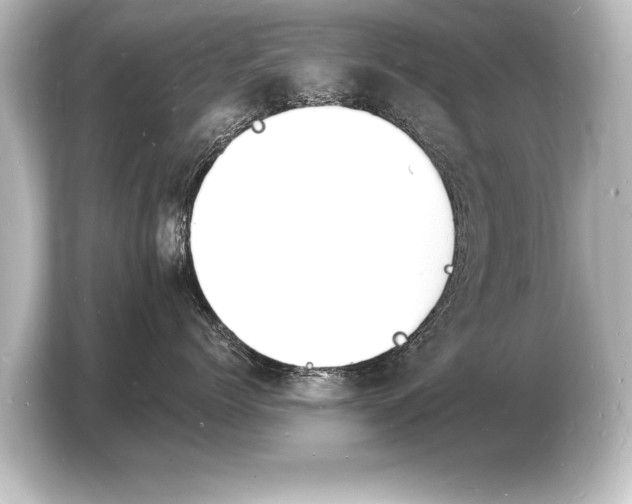 X0000103970768200810031224