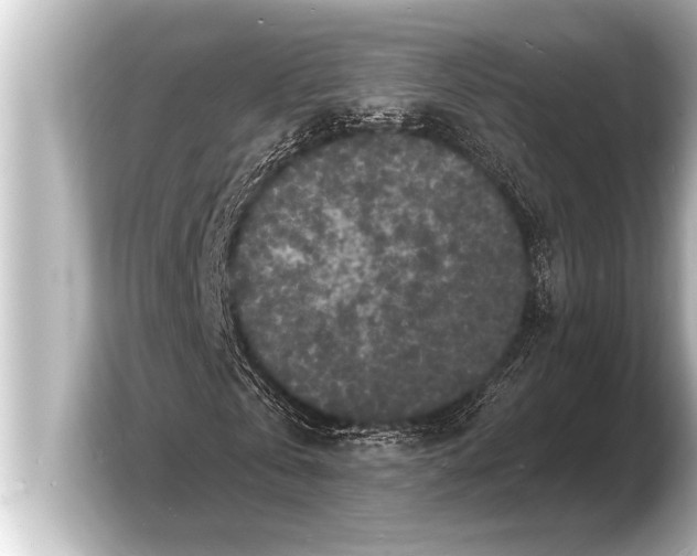 X0000103970769200810031224