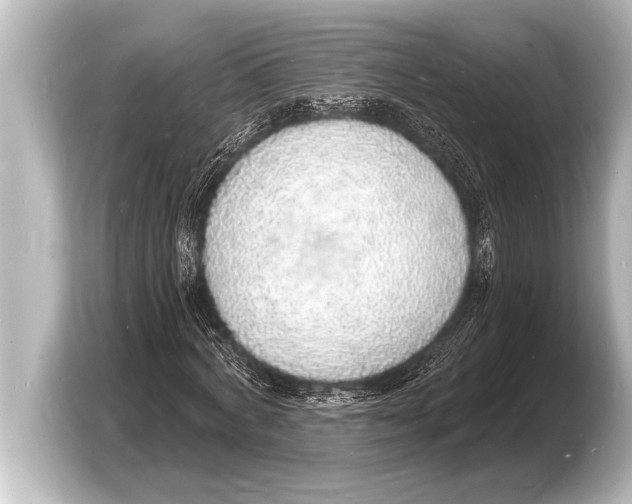 X0000103970772200810031223