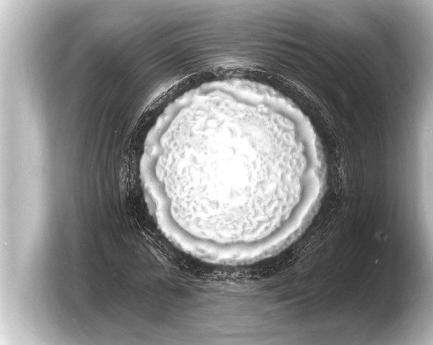 X0000103970775200810031223