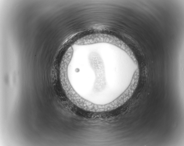 X0000103970776200810031223