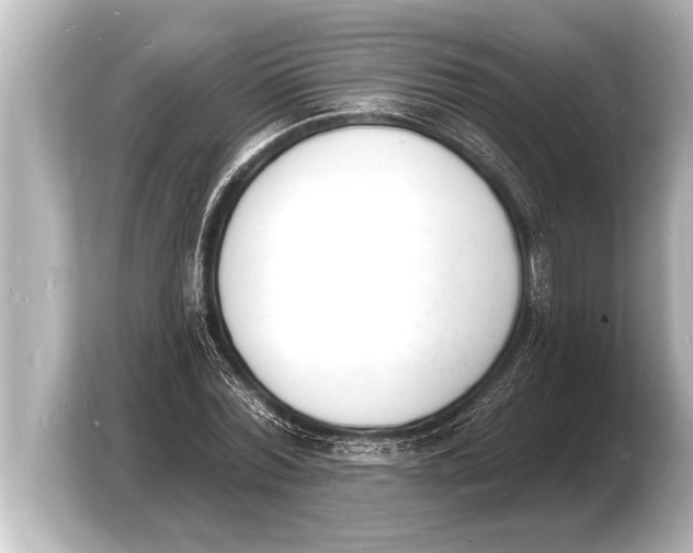 X0000103970780200810031223