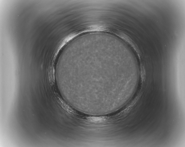 X0000103970781200810031223