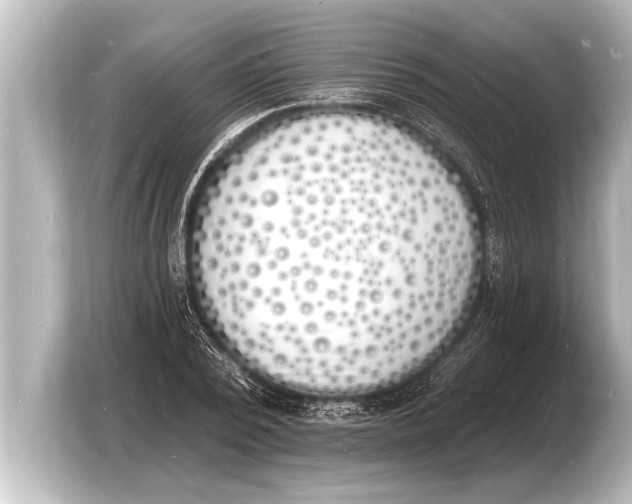 X0000103970784200810031223