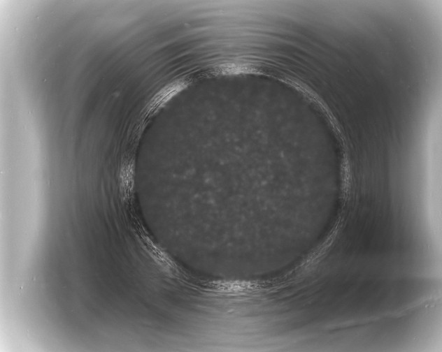 X0000103970785200810031223