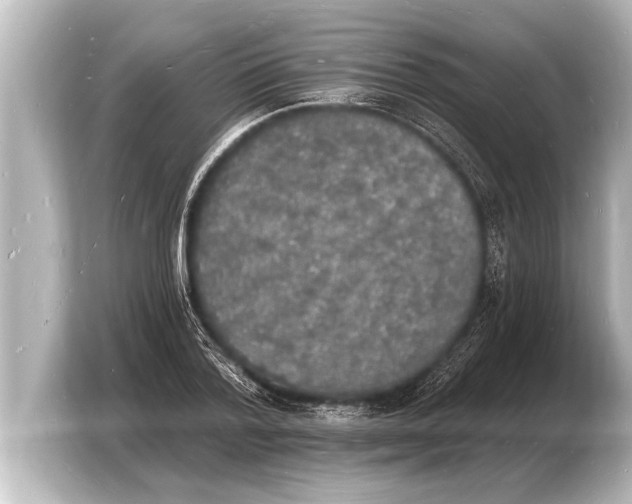 X0000103970788200810031223