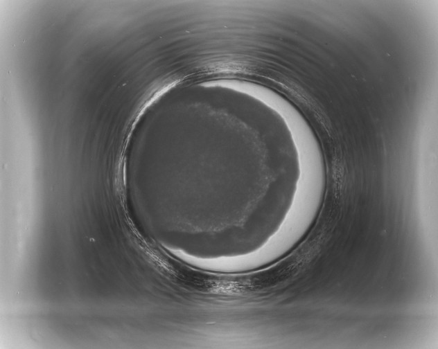 X0000103970790200810031223