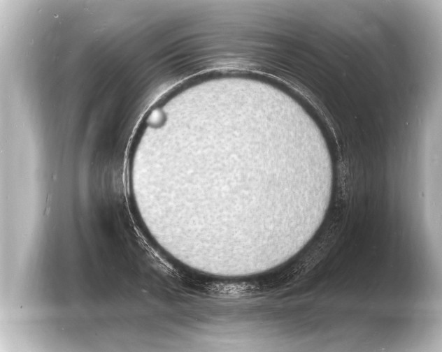 X0000103970791200810031223