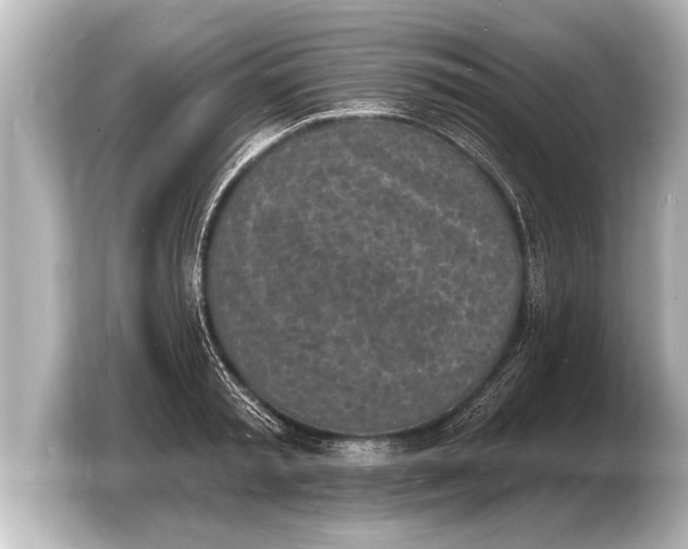 X0000103970797200810031223