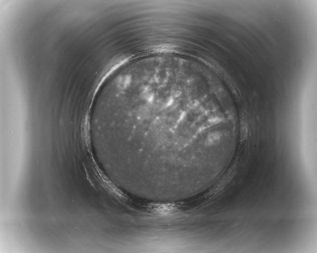 X0000103970798200810031223