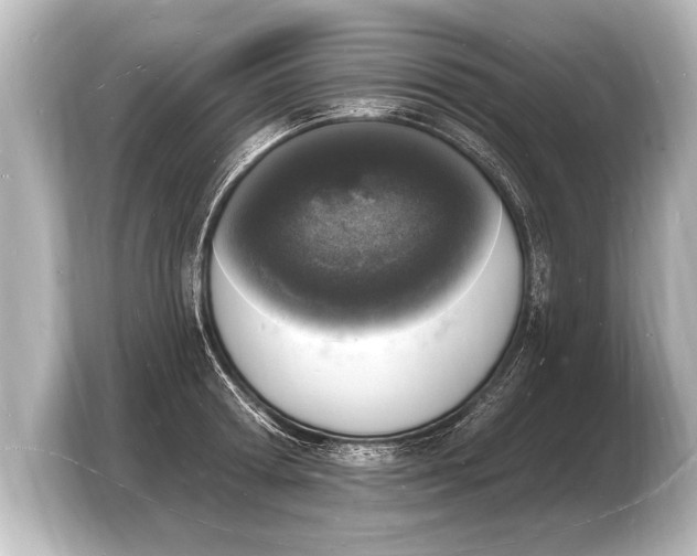 X0000103970802200810031223