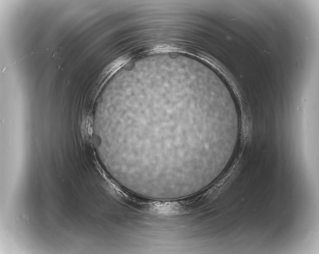 X0000103970809200810031223