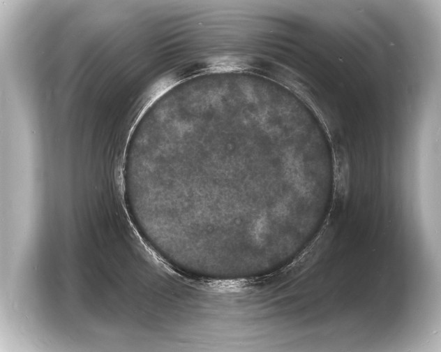 X0000103970810200810031223