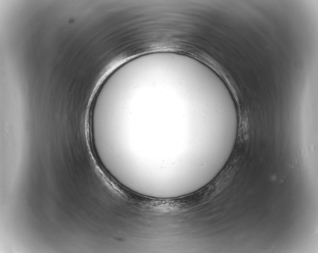 X0000103970811200810031223