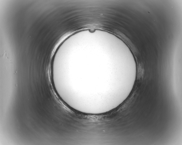 X0000103970812200810031223