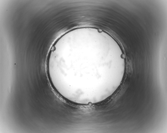 X0000103970813200810031223