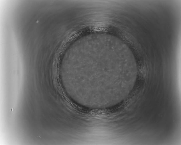 X0000103970817200810031222