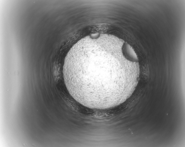 X0000103970818200810031222