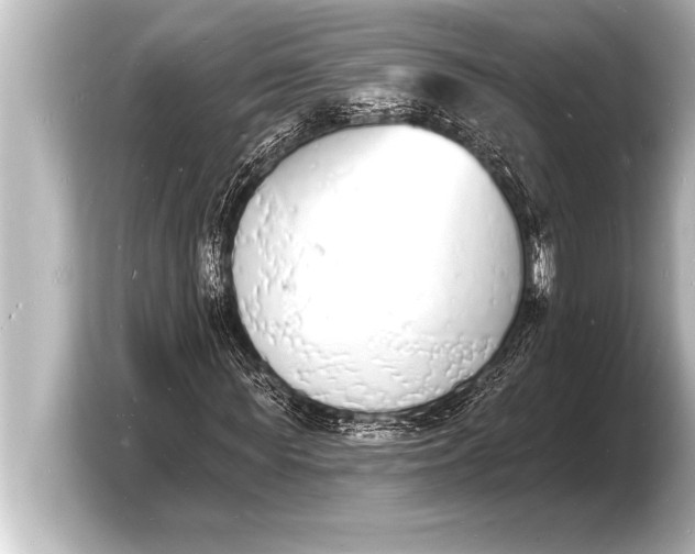 X0000103970819200810031222