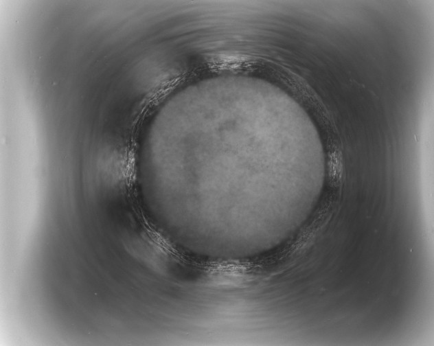 X0000103970820200810031222