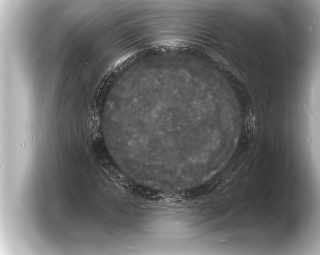 X0000103970822200810031222