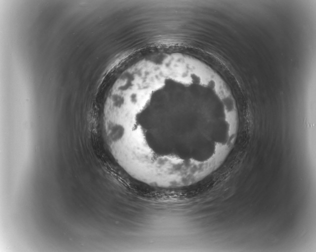 X0000103970823200810031222