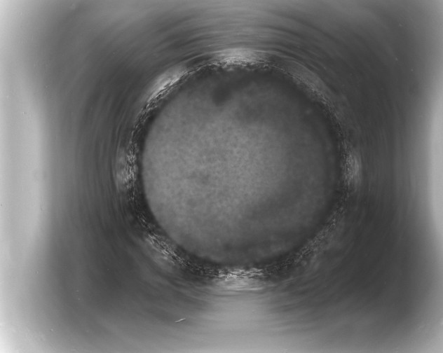 X0000103970824200810031222