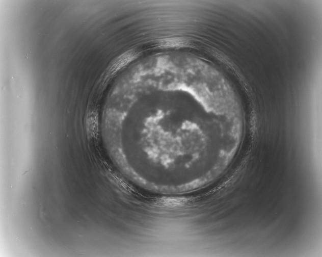 X0000103970825200810031222