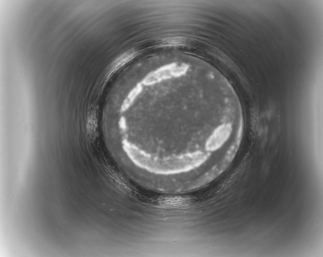 X0000103970826200810031222