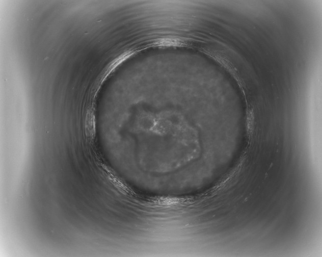 X0000103970829200810031222