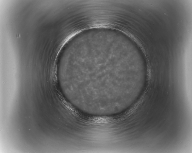 X0000103970830200810031222